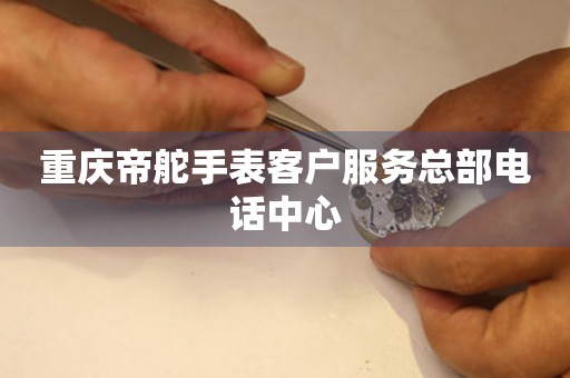 重庆帝舵手表客户服务总部电话中心