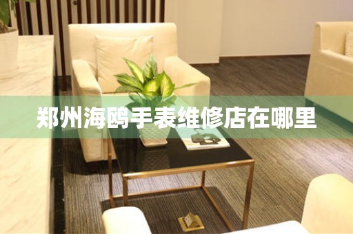 郑州海鸥手表维修店在哪里