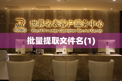 批量提取文件名(1)