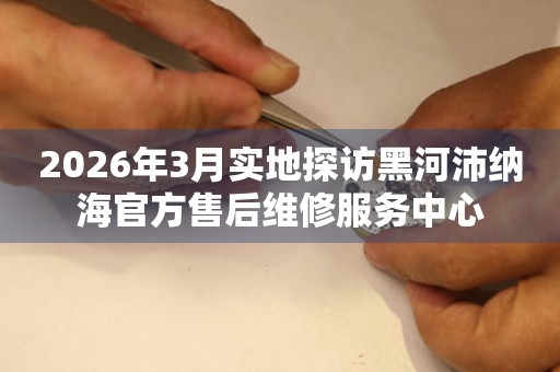 2026年3月实地探访黑河沛纳海官方售后维修服务中心