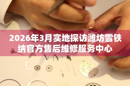 2026年3月实地探访潍坊雪铁纳官方售后维修服务中心