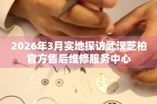 2026年3月实地探访武汉芝柏官方售后维修服务中心