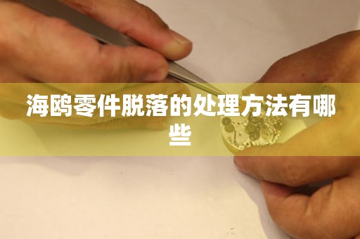  海鸥零件脱落的处理方法有哪些 手表维修知识库