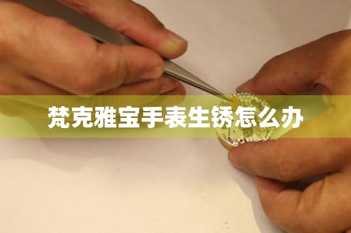  梵克雅宝手表生锈怎么办 手表维修知识库