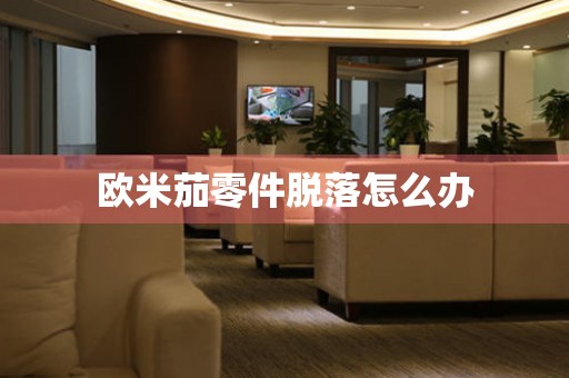  欧米茄零件脱落怎么办 手表维修知识库