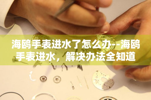  海鸥手表进水了怎么办--海鸥手表进水，解决办法全知道 手表维修知识库