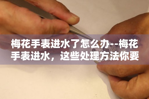  梅花手表进水了怎么办--梅花手表进水，这些处理方法你要知道 手表维修知识库