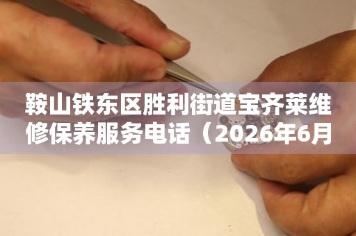 鞍山铁东区胜利街道宝齐莱维修保养服务电话（2026年6月最新）