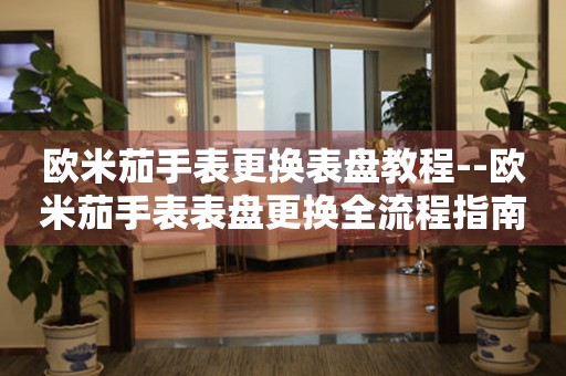  欧米茄手表更换表盘教程--欧米茄手表表盘更换全流程指南 手表维修知识库