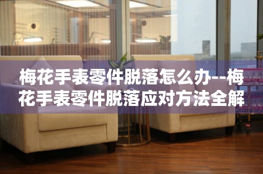  梅花手表零件脱落怎么办--梅花手表零件脱落应对方法全解析 手表维修知识库