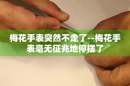  梅花手表突然不走了--梅花手表毫无征兆地停摆了 手表维修知识库