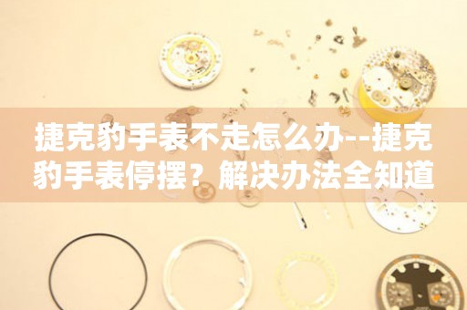 捷克豹手表不走怎么办--捷克豹手表停摆？解决办法全知道 手表维修知识库