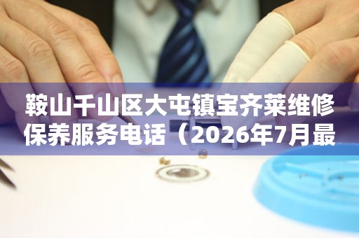 鞍山千山区大屯镇宝齐莱维修保养服务电话（2026年7月最新）