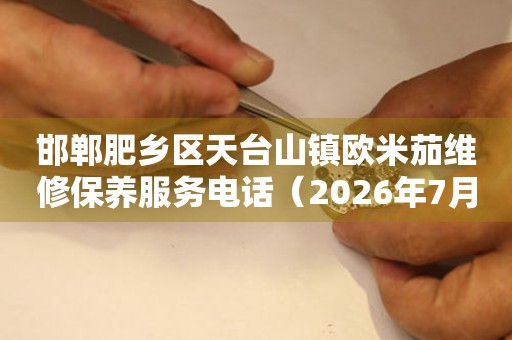 邯郸肥乡区天台山镇欧米茄维修保养服务电话（2026年7月最新）