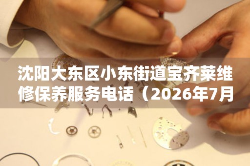 沈阳大东区小东街道宝齐莱维修保养服务电话（2026年7月最新）