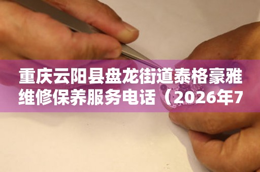 重庆云阳县盘龙街道泰格豪雅维修保养服务电话（2026年7月最新）