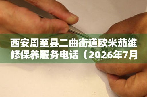 西安周至县二曲街道欧米茄维修保养服务电话（2026年7月最新）