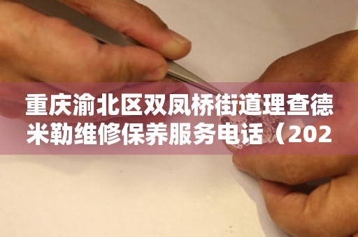 重庆渝北区双凤桥街道理查德米勒维修保养服务电话（2026年7月最新）