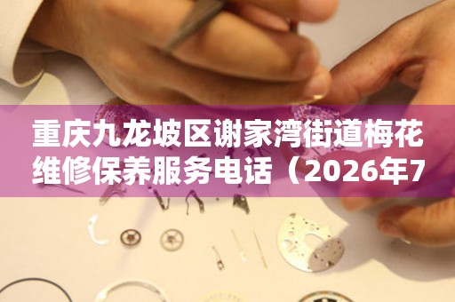 重庆九龙坡区谢家湾街道梅花维修保养服务电话（2026年7月最新）
