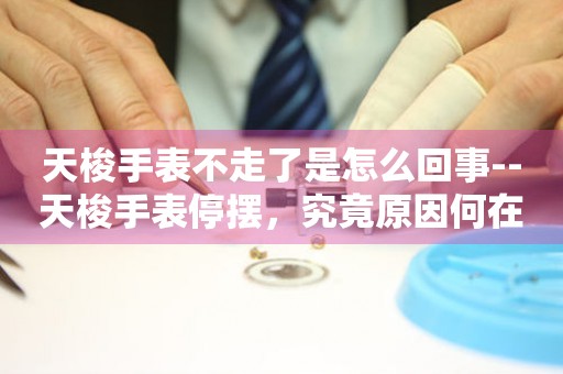 天梭手表不走了是怎么回事--天梭手表停摆，究竟原因何在？ 手表维修知识库