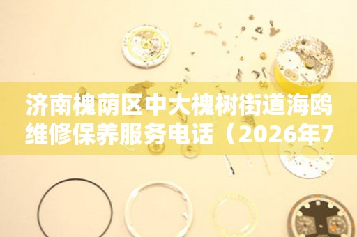 济南槐荫区中大槐树街道海鸥维修保养服务电话（2026年7月最新）