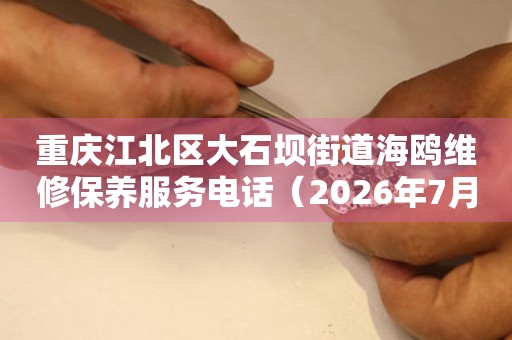 重庆江北区大石坝街道海鸥维修保养服务电话（2026年7月最新）
