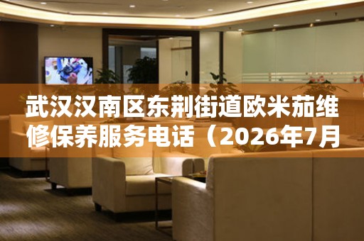 武汉汉南区东荆街道欧米茄维修保养服务电话（2026年7月最新）