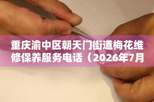  重庆渝中区朝天门街道梅花维修保养服务电话（2026年7月最新） 网点查询