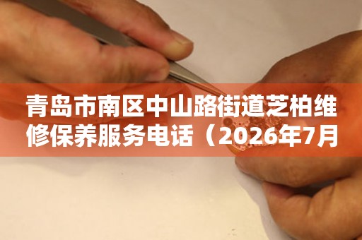  青岛市南区中山路街道芝柏维修保养服务电话（2026年7月最新） 网点查询