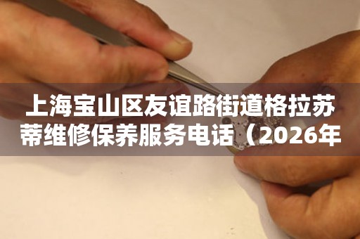  上海宝山区友谊路街道格拉苏蒂维修保养服务电话（2026年7月最新） 网点查询