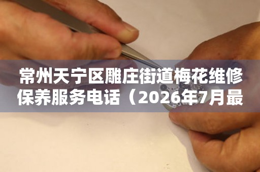  常州天宁区雕庄街道梅花维修保养服务电话（2026年7月最新） 网点查询