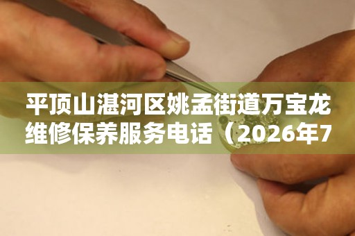  平顶山湛河区姚孟街道万宝龙维修保养服务电话（2026年7月最新） 网点查询