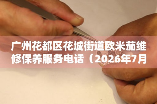  广州花都区花城街道欧米茄维修保养服务电话（2026年7月最新） 网点查询