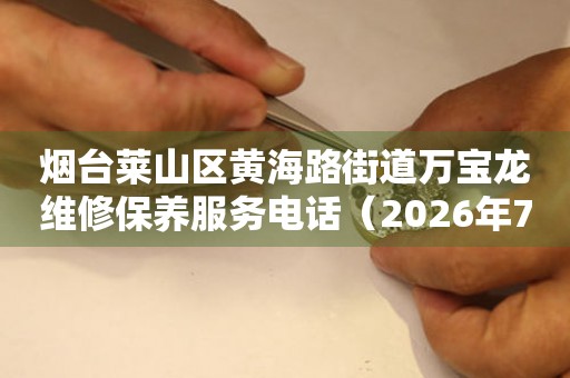  烟台莱山区黄海路街道万宝龙维修保养服务电话（2026年7月最新） 网点查询