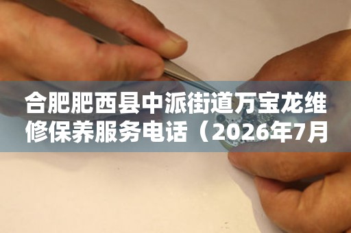  合肥肥西县中派街道万宝龙维修保养服务电话（2026年7月最新） 网点查询